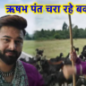 Viral Video: Fans shocked to see Rishabh Pant grazing goat on road